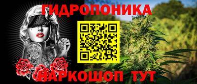 Альфа ПВП Моздок