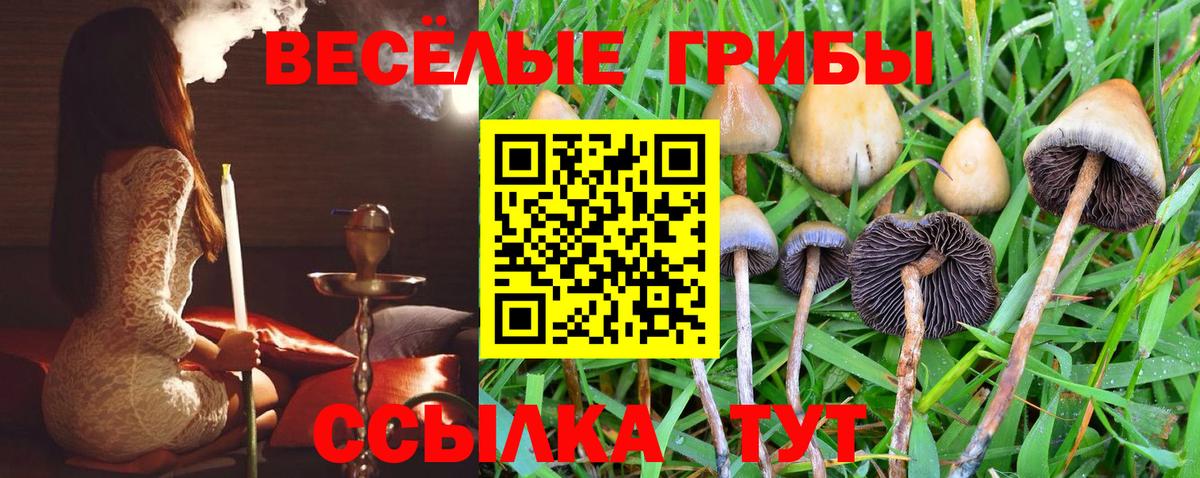 Псилоцибиновые грибы MAGIC MUSHROOMS Усть-Илимск
