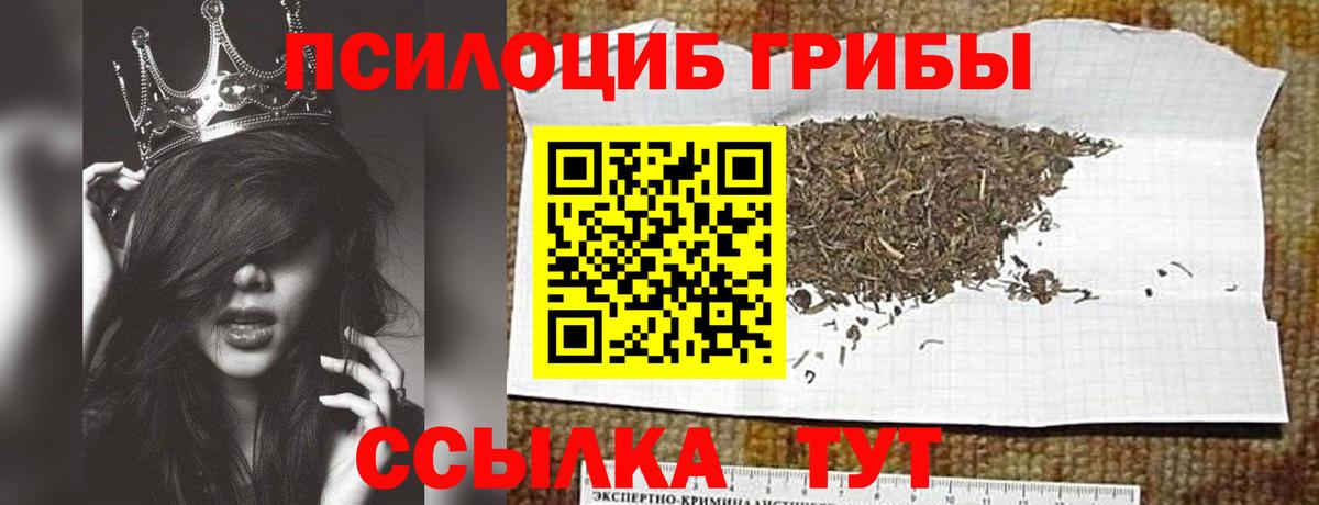 Псилоцибиновые грибы Cubensis  Вход с VPN  Усть-Илимск 